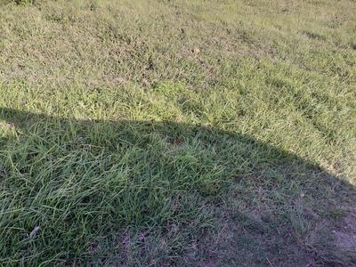 Vacant Land / Plot For Sale in Scenery Park, East London