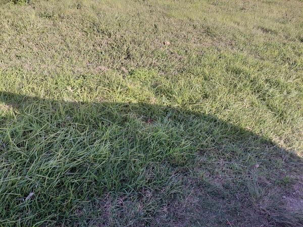 Property For Sale in Scenery Park, East London